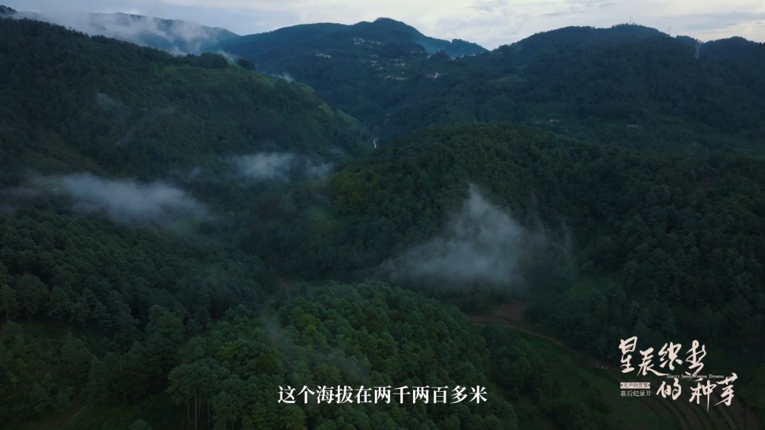 《星辰织梦的种芽》——短片影戏《无声的宣誓》幕后纪录片-永信贵宾会217