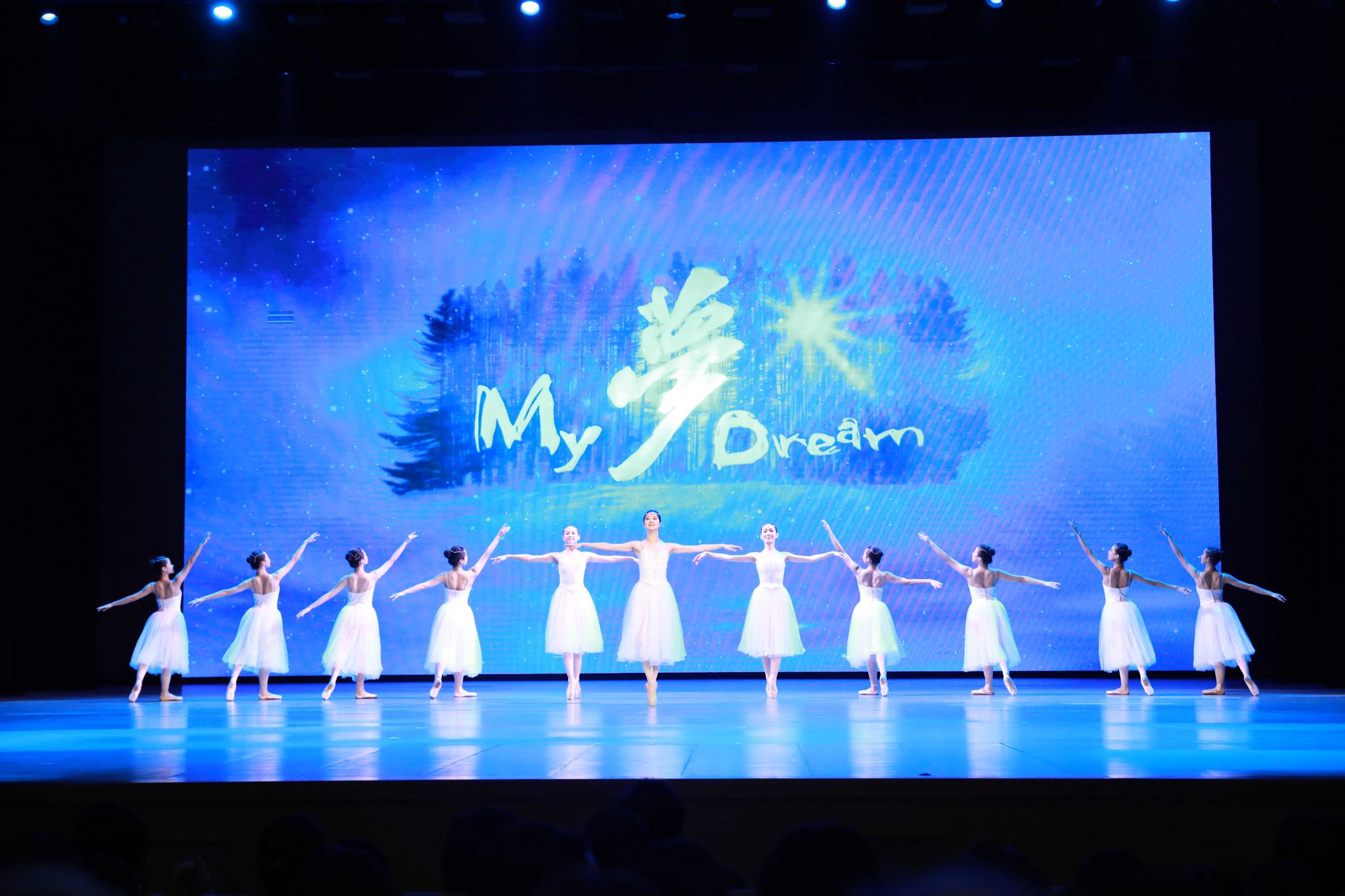 中国残疾人艺术团音乐舞蹈诗《我的梦》永信贵宾会217专场演出圆满落幕-永信贵宾会217