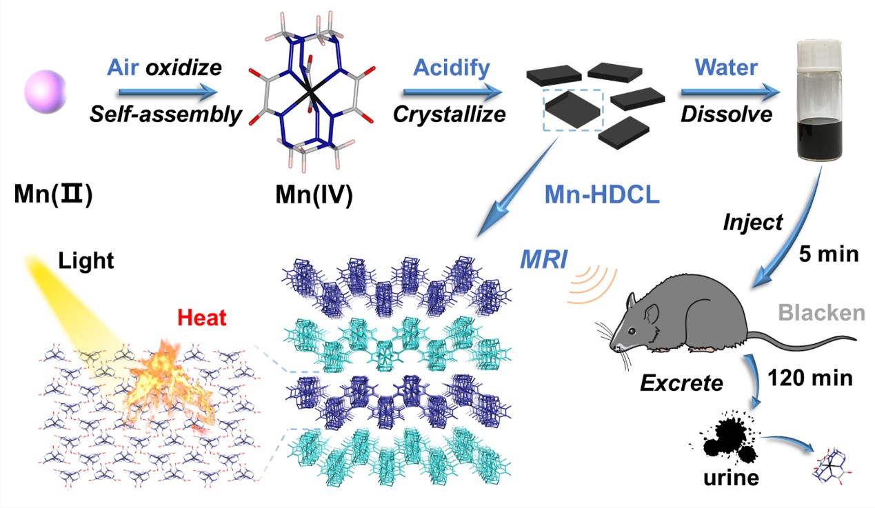 理学院王兆喜课题组在《Journal of the American Chemical Society》上揭晓最新研究效果-永信贵宾会217