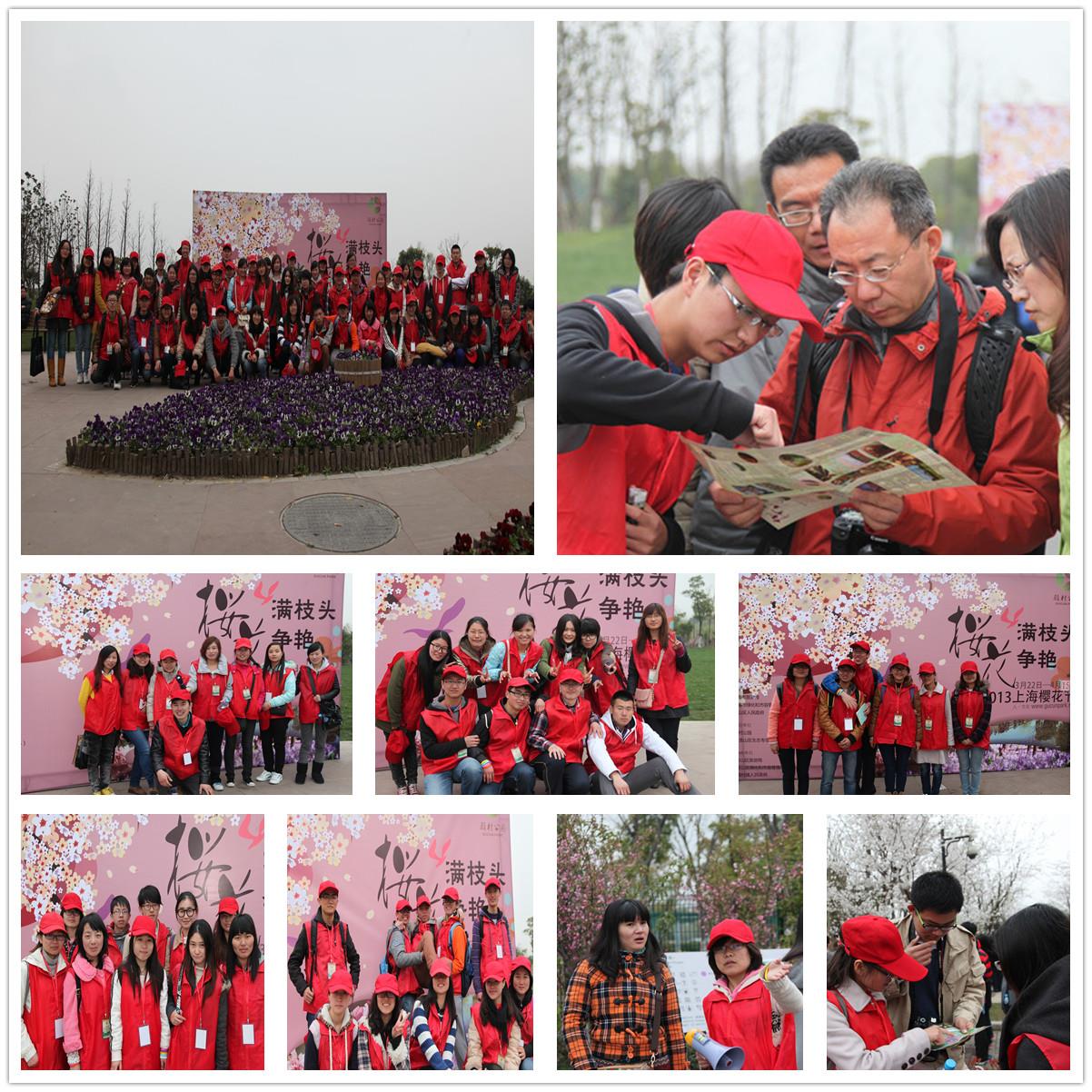 2013上海樱；；；ń谟佬殴蟊龌217自愿者迎接首次上岗效劳——青春与樱；；；ü参，，，，，永信贵宾会217与自愿偕行-永信贵宾会217