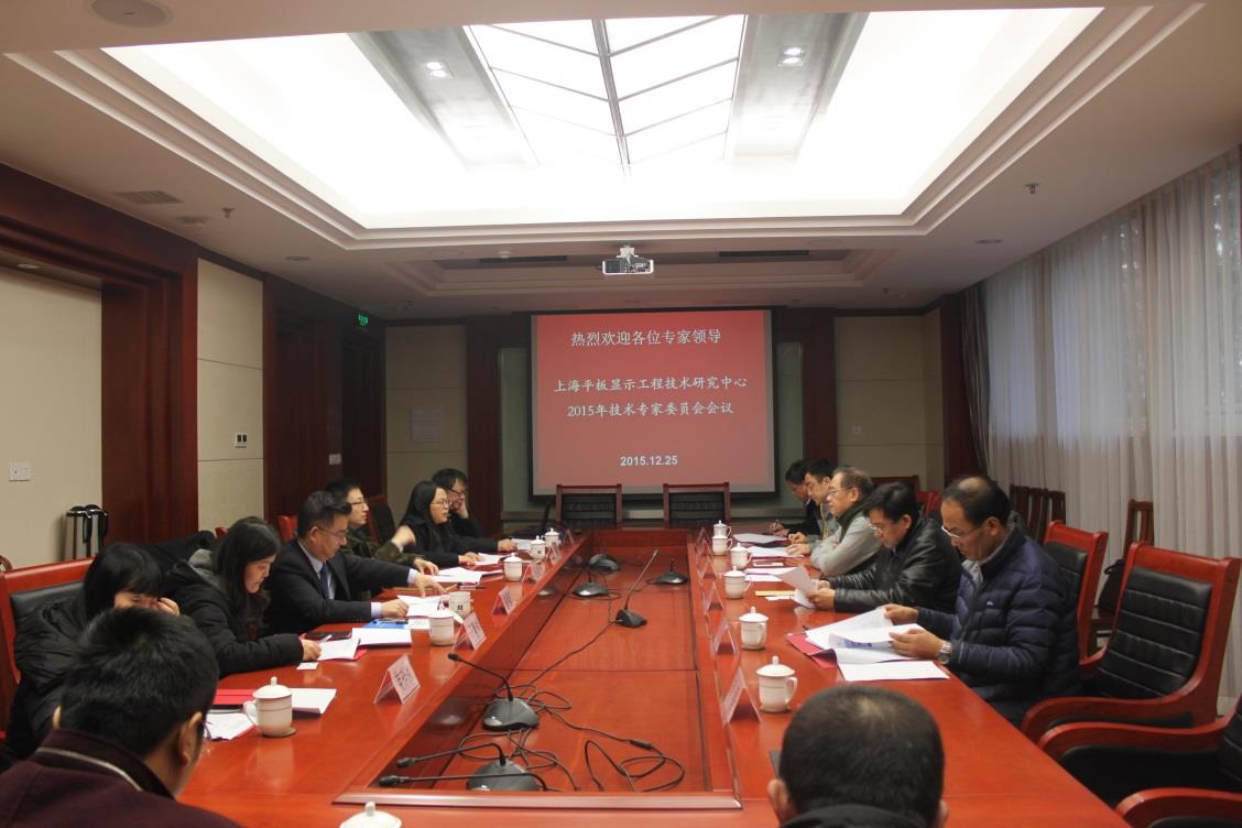 上海平板显示工程手艺研究中心2015年度手艺委员会聚会顺遂召开-永信贵宾会217