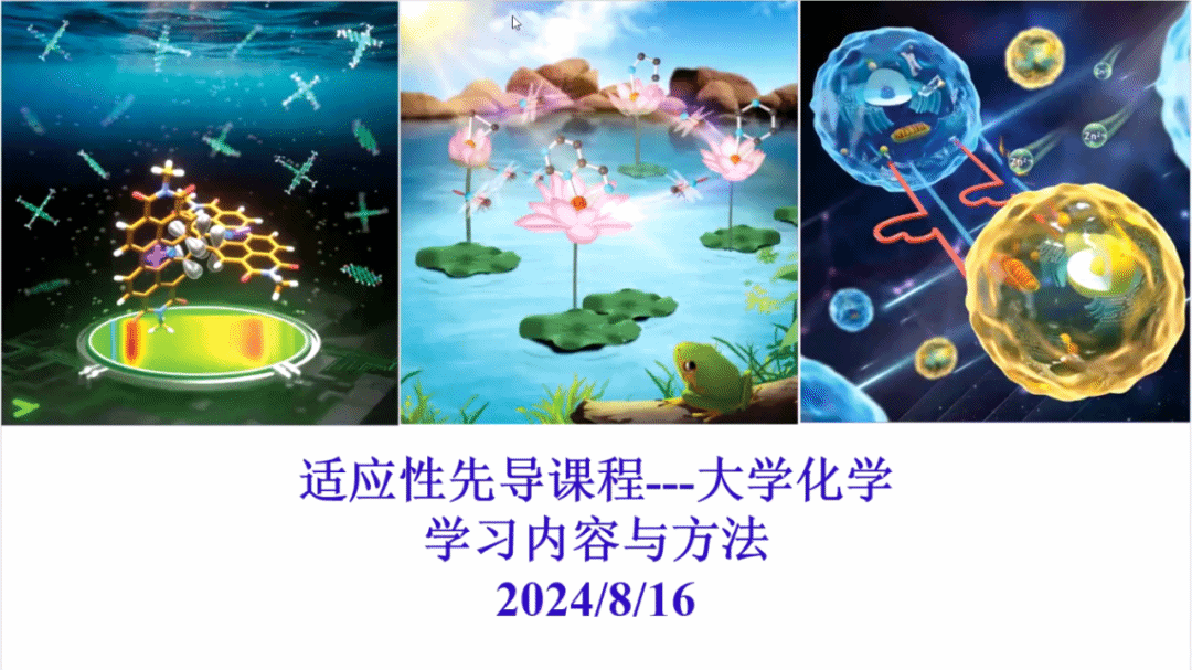逐梦新起点 启航新征程！永信贵宾会2172024年本科生新生报到啦-永信贵宾会217