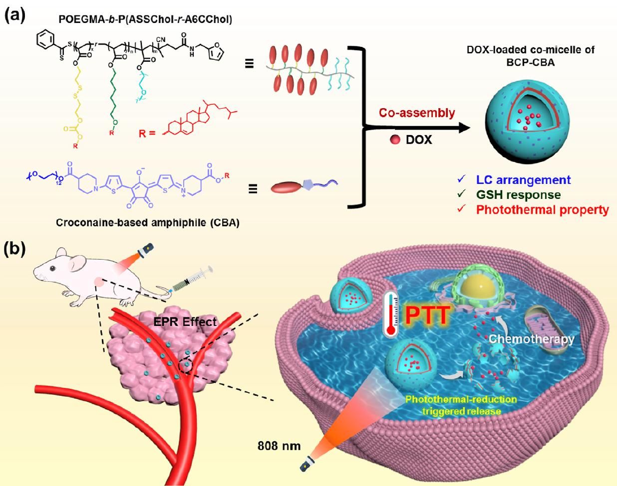 质料学院贾林课题组、朱波课题组在《Materials Today Bio》上揭晓最新效果-永信贵宾会217