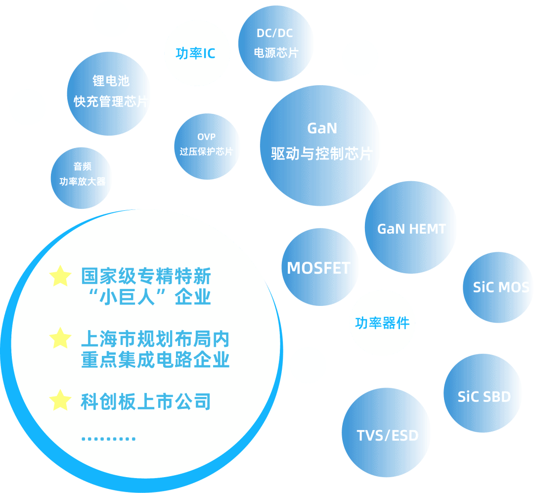 泛摩尔产教大课堂第十讲——上海芯导电子科技股份有限公司-永信贵宾会217