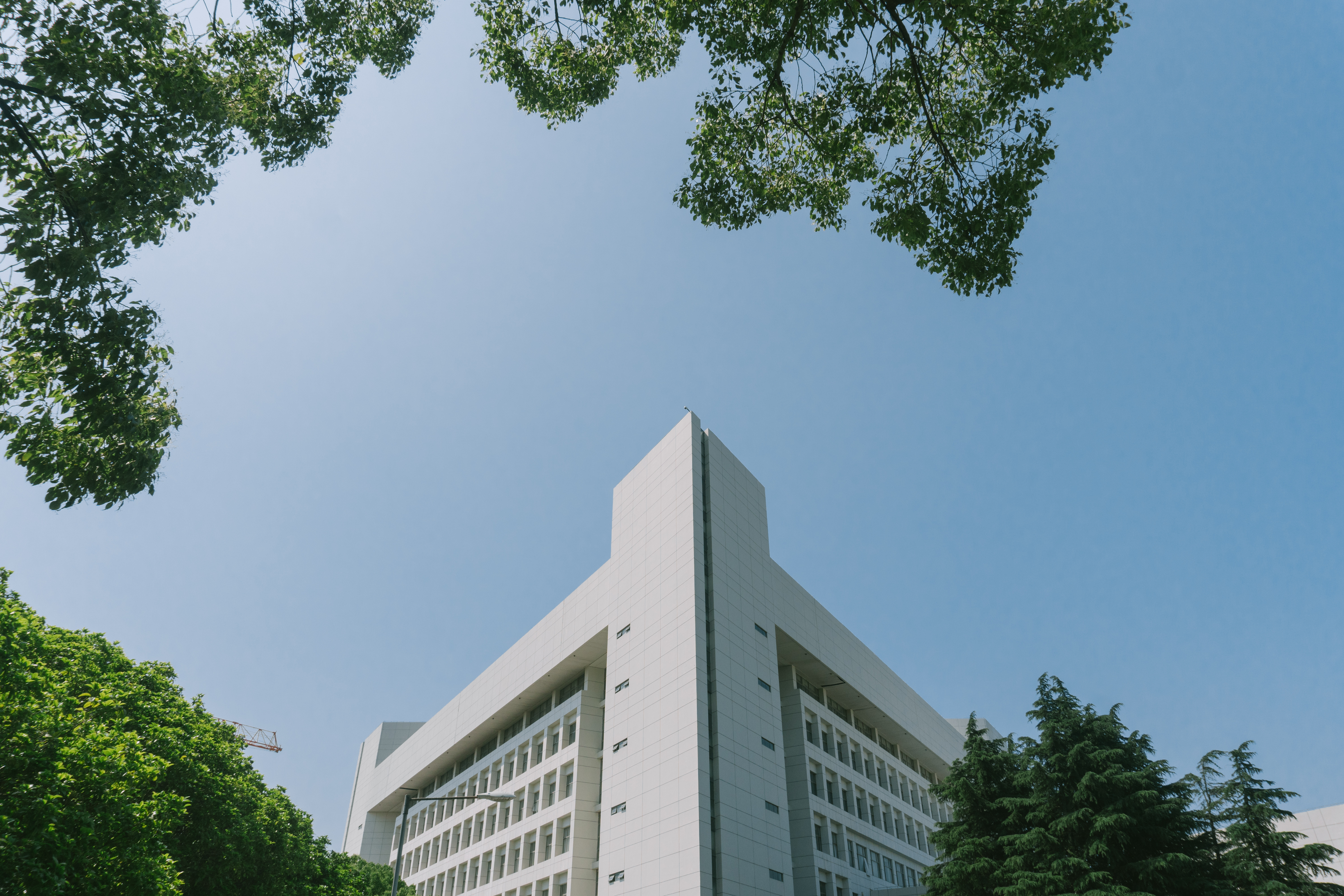 宝山校区-永信贵宾会217